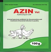 product name